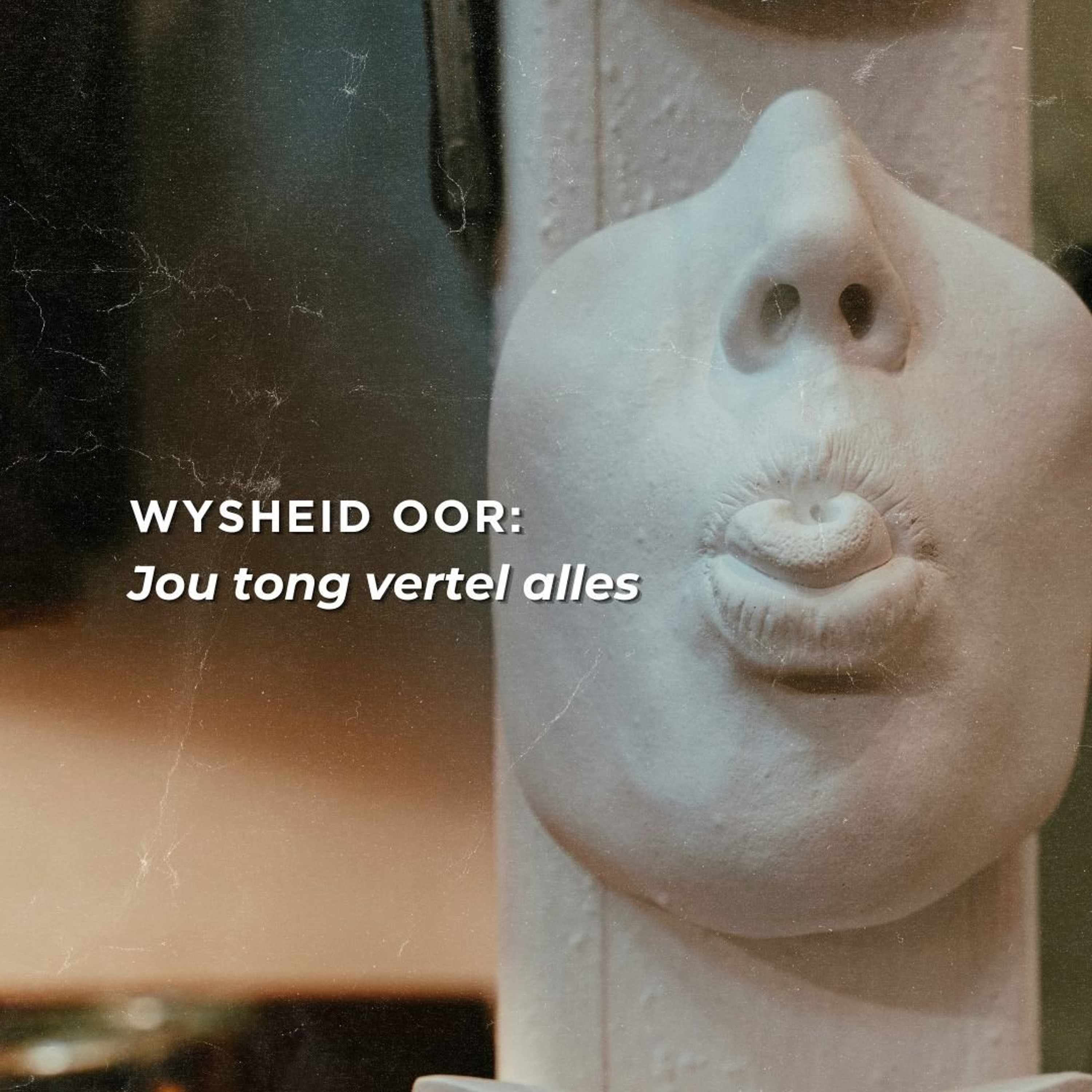 Wysheid oor: Jou tong vertel alles deur Theo Geyser