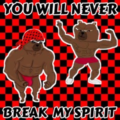 pepeGRIZZLY - YOU WILL NEVER BREAK MY SPIRIT  -  ( imsickofvader )