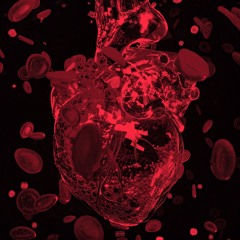 Mally G - Biggest Heart