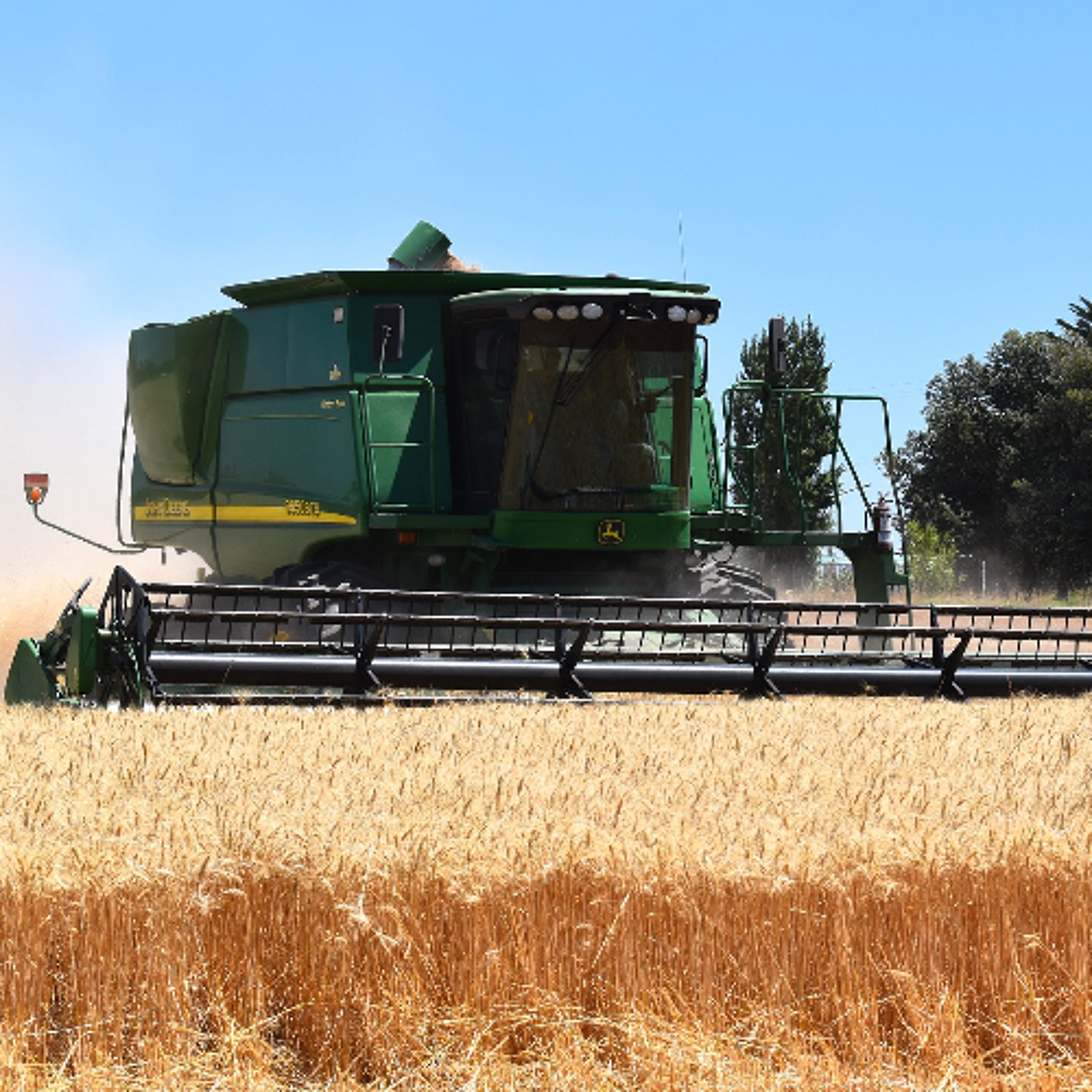 Bushel Plus rebranding as BranValt as it marks 10 years of harvest innovation episode artwork