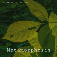 Metamorphosis (Hip-Hop/R&B Beat)