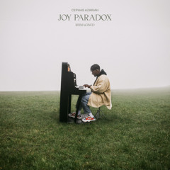 Joy Paradox (Strings Reprise)