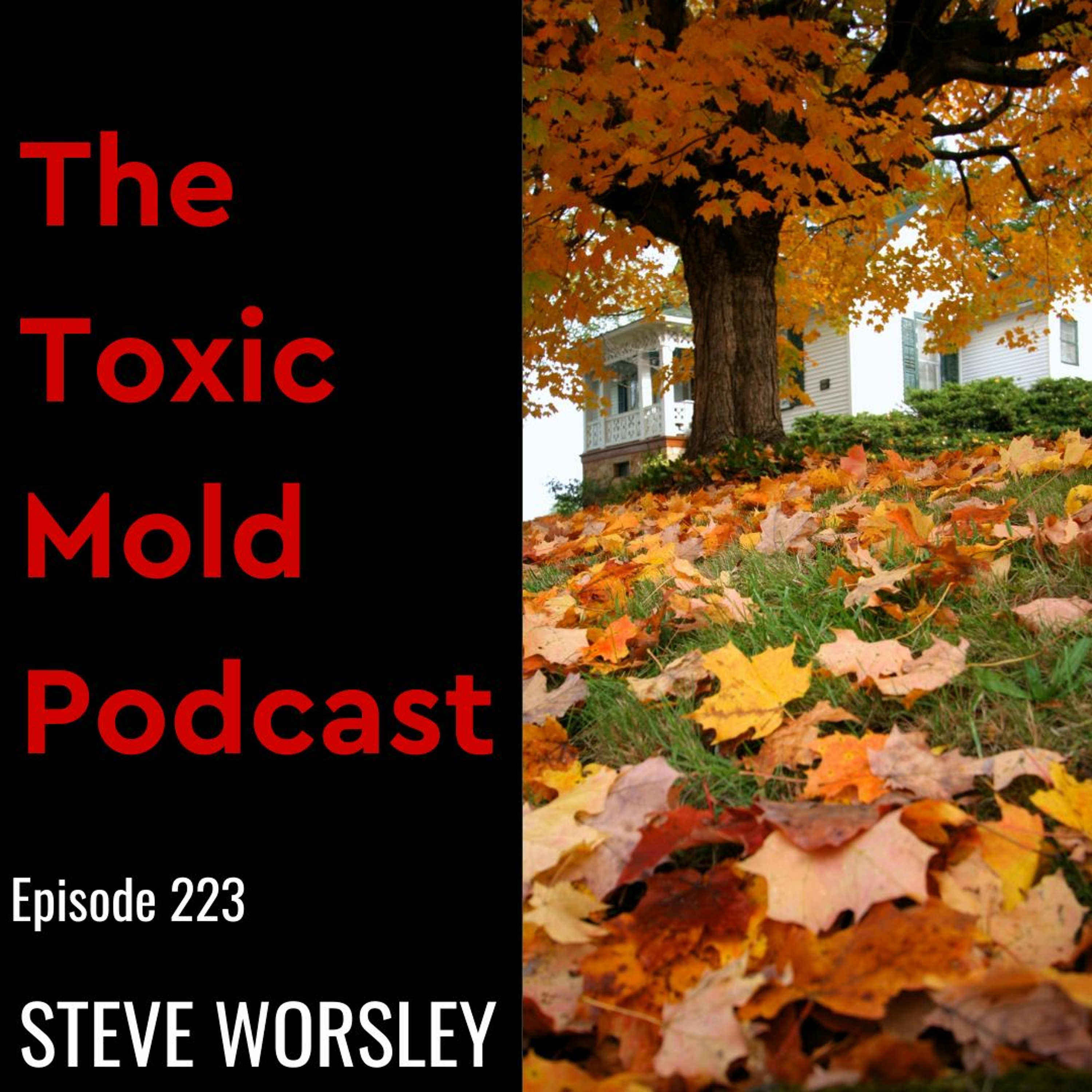 The Toxic Mold Podcast