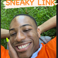 Sneaky Link