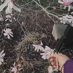 Kahey Re Ban Khojan Jaayi - Raag Shankara by Maestro Subbulakshmi(1975)