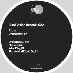 A2 Rigzz - Pleasure