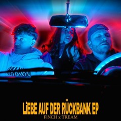 FINCH X TREAM - LIEBE AUF DER RÜCKBANK [HARDTEKK REMIX]