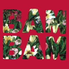Bam Bam