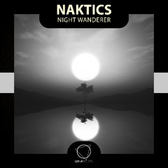 Naktics - Night Wanderer (Lizplay Records)