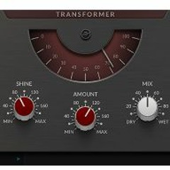 SSL Fusion Transformer Test