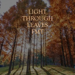 Light Through Leaves