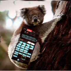 the koala smplr beat tape | Lo-fi