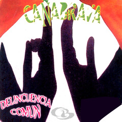 Vamos a Beber (feat. Fatto)