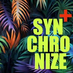 Synchronize (remix+ by APi)