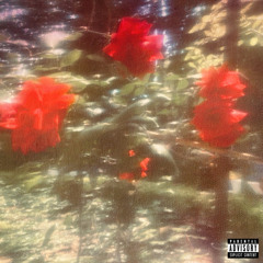 Some Hearts Only Bloom In Chaos