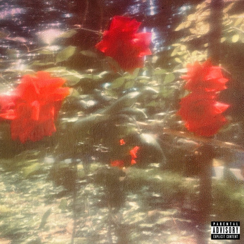 Some Hearts Only Bloom In Chaos