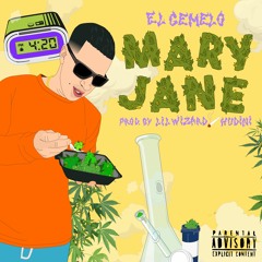 Mary Jane - El Gemelo Prod. Lilwizard & Hudini