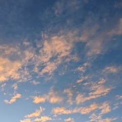 Upperclassman (end ver.)