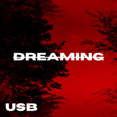 DREAMING  (FREE DOWNLOAD)