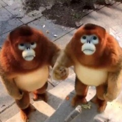 Dørmand, min ven har en flåt AKA bing bing (bong bong) ft. NoMo