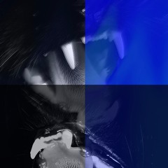 intermezzo