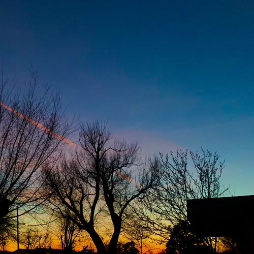 Stream Special (Meadows/Rose Petals) Juice WRLD [Prod. by Red