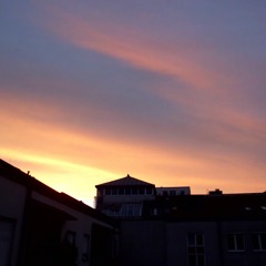 Morning Sun
