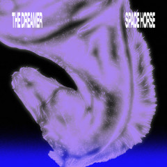 The Dreamer - Space Horse