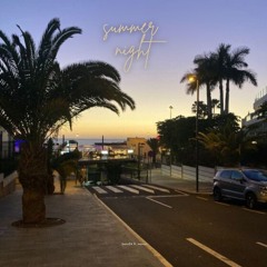 Summer Night ft. Wanse