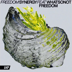 Synergy - Freedom (ft. What So Not)