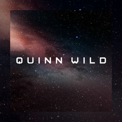 Podcast#29 w/Quinn Wild