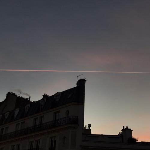 恋をしたから / あいみょん