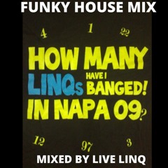 Funky House Mix Napa Party VIBES (Mixed By Live LinQ)