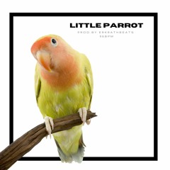 LITTLE PARROT [96bpm] (prod.by Erkrathbeats)