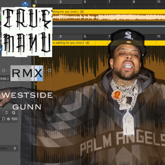 WESTSIDE GUNN X KEMO X SOAD