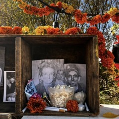 Nate Traveller - Somewhere Safe