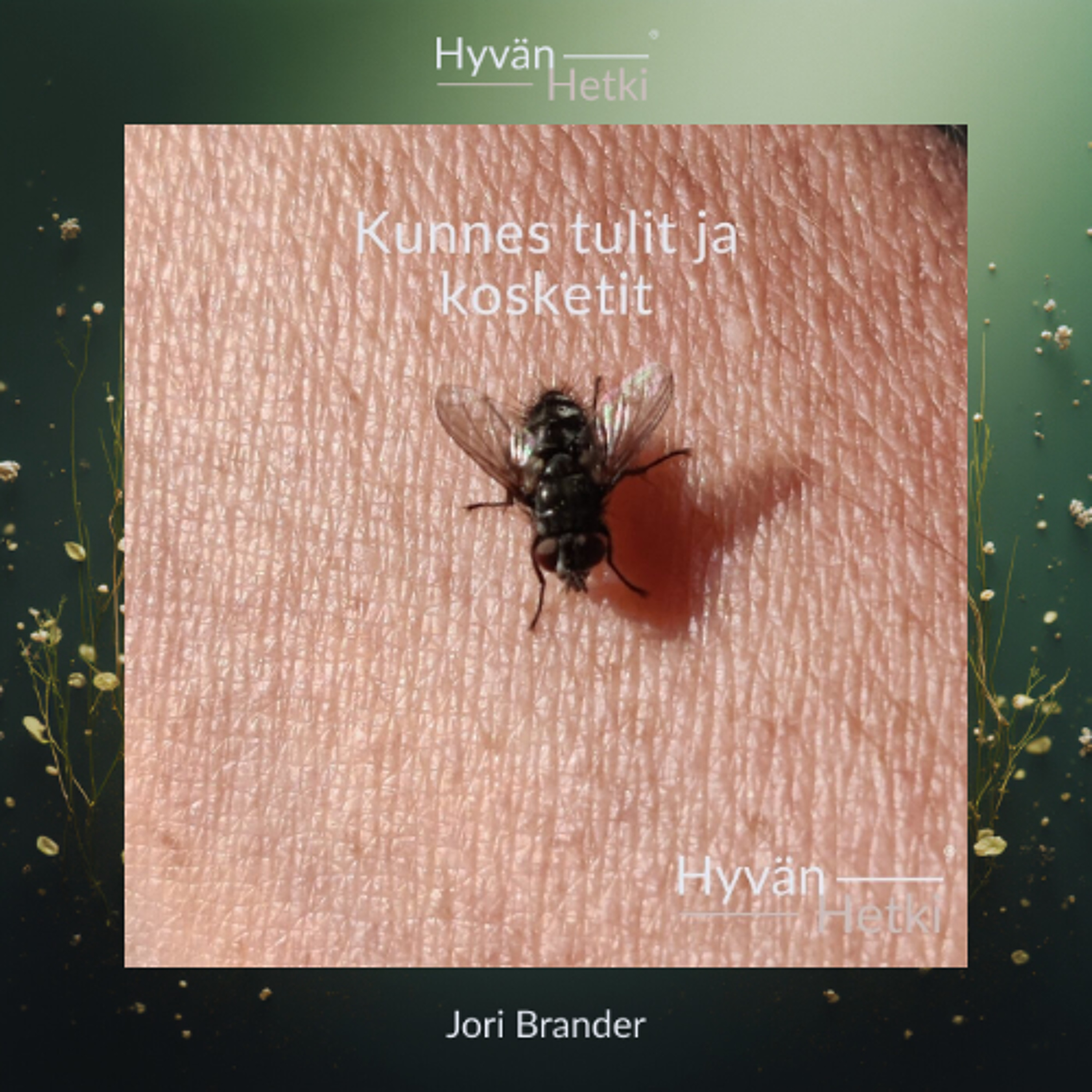 Kunnes tulit ja kosketit. (21.03.2026)