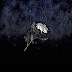 별자리-이하랑_feat.yobi