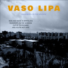 Vaso Lipa - Rain And Snow In Bratislava