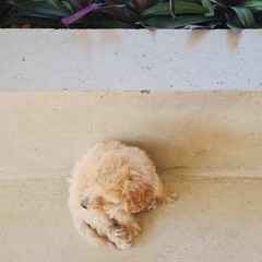 i don't want to talk - wallows