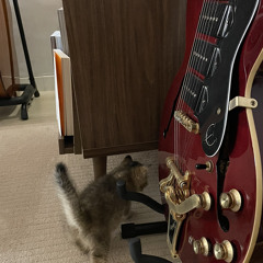 The beatles - For no one (Cover)