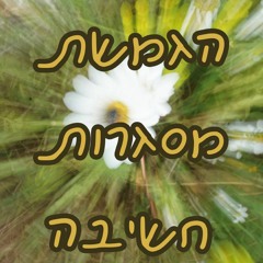 הגמשת מסגרות חשיבה #8 חימנה רייס - רופאה במקסיקו ליצנית בישראל