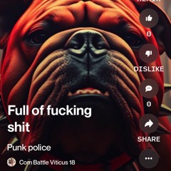 punk-police.mp3