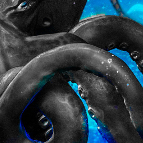 Deep Ocean_ track 02 preview