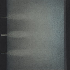 A Sunlit Absence
