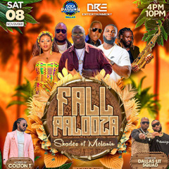 FALL PALOOZA (DALLAS TX) NOV 8 RICKY PLATINUM LIVE