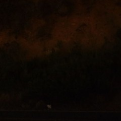 I would like to introduce (clip)