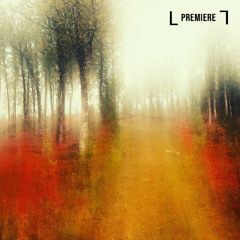 PREMIERE: Gruth - Noema I (Midira Records)