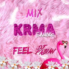 KRMA FLAMINGO