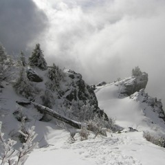 ｕｎｃｈａｎｇｅｄ ｆｏｒｅｖｅｒ